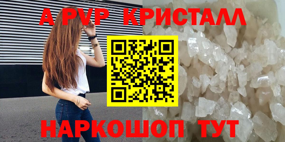 Alfa_PVP СК Сосновый Бор