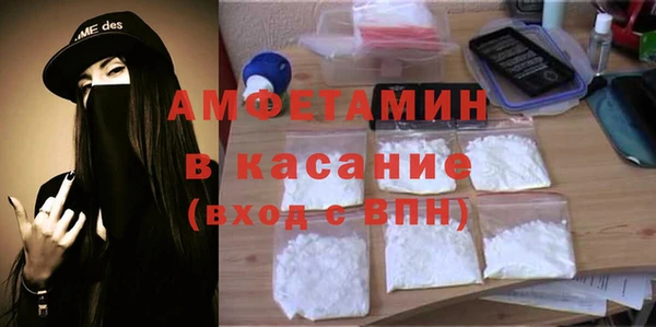 гидра Жердевка