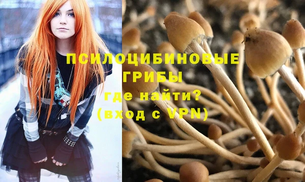 бутират Рославль