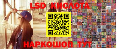 стаф Новодвинск