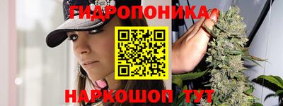 стаф Новодвинск