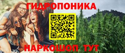 прущие крисы Новокубанск