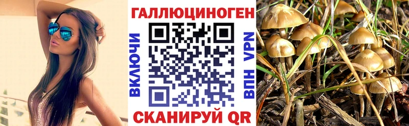 Псилоцибиновые грибы мицелий  Сосновый Бор 