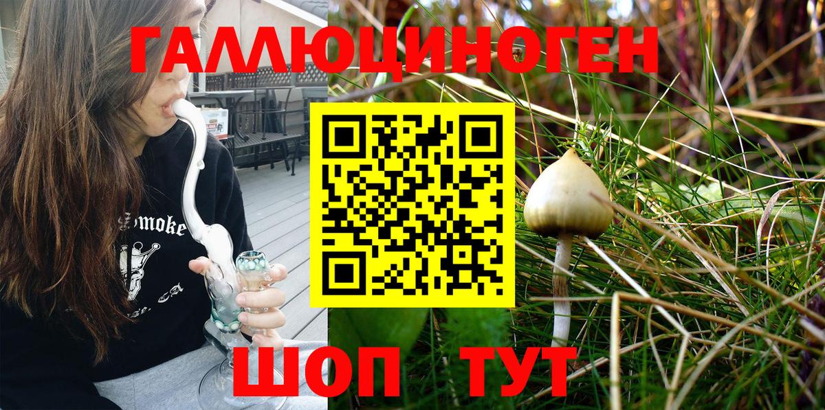 Галлюциногенные грибы MAGIC MUSHROOMS  Вход с VPN  Сосновый Бор  Галлюциногенные грибы прущие грибы 