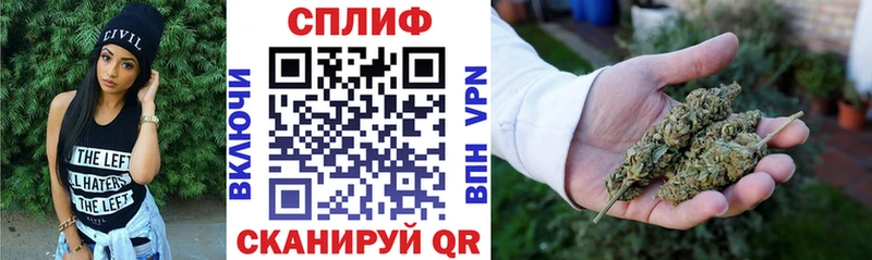 Канабис гибрид Сосновый Бор